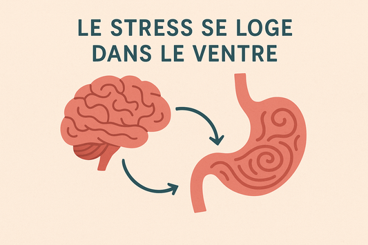 Le stress au ventre