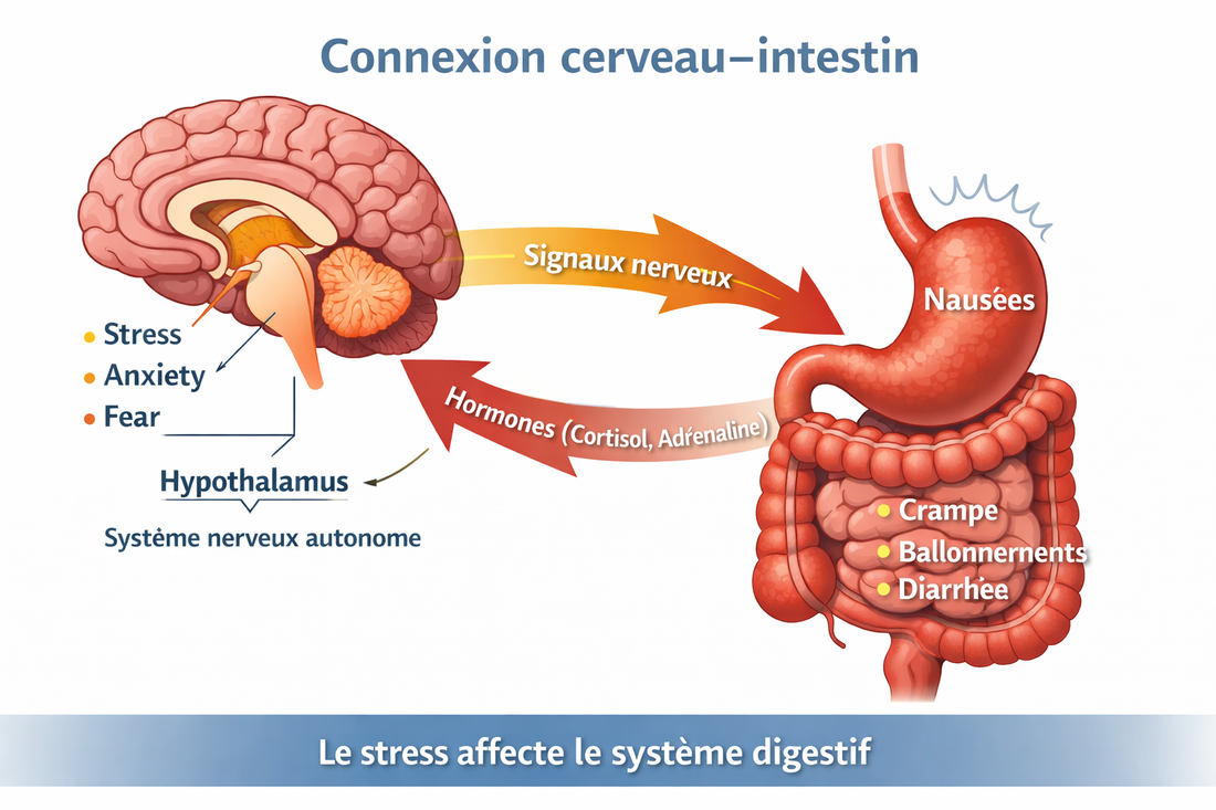Émétophobie et stress : quand l’anxiété provoque de vrais symptômes digestifs