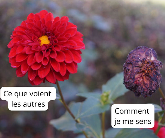 Vacances et émétophobie : quand partir devient un défi anxieux